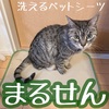 洗えるペットシーツで清潔☆まるせん