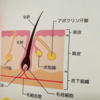 お客様がよく口にするコレってホント？