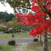 【写真修正・加工】遠近感を出す・・・紅葉