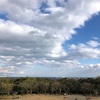 きれいに撮れた空と雲