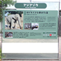 動物園