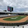 ５月３１（土）　勝負・注目レース結果　ー九条ネギ？？