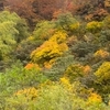 続・ご主人様の旅だより　紅葉編