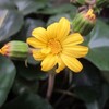 改憲に突進か？