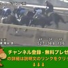 競馬無双で競馬予想！富士ステークス（GIII） 【競馬調教】 ロードクエスト調教動画　「競馬レース結果ハイライト」2016年≪競馬場の達人,競馬予想≫JRA-VAN対応競馬ソフト