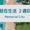 駐在生活　Memorial City近辺