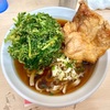 雑賀屋（京成関屋/牛田）唐揚げ太麺そば＋春菊天