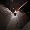 雪山が大きく育っています