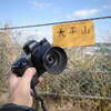 NIKKOR Z 40mm f/2をNikon Z6IIにつけて天園ハイキングコースをスナップ撮影してきた。