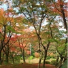 京都府立植物園