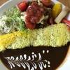 3/25の日替わりカレー