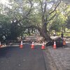 鵜の木～丸子橋付近の多摩川の様子。台風の記録（10月13日）