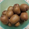 家庭菜園でキーウィ