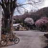 川内町の花見サイクリング