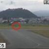 山形空港のクマ、その後どうなった？滑走路閉鎖の理由と欠航便【2025年】