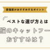 仔猫のキャットフードおすすめは【ベストな選び方と愛猫家がおすすめするポイント】