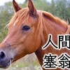 塞翁が馬