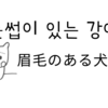 눈썹이 있는 강아지