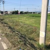 月曜日の朝は残りの草刈り！