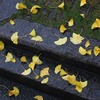 The edge of the life