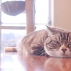 やってらんないなぁ・・