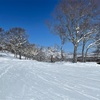 外国人観光客の増加に驚き！　数十年ぶりの野沢温泉でのスキー体験