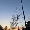 行き先