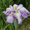 10年ひと昔