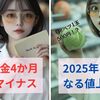 2024年11月の実質賃金4か月連続マイナスの現実！2025年はさらなる値上げ地獄が待っている？