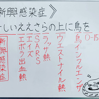 再興感染症のゴロ 覚え方 薬学ゴロ 薬学部はゴロでイチコロ