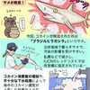 【図解】出没、コカイン・シャーク！？