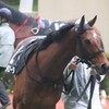 【一口馬主／ラキエータ】復帰戦はどこ？