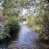 南沢湧水群(東京都東久留米市)