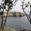ウミウの岬
