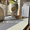 雨田甘夏、やる気です。【猫とモチベと趣味事情】