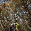 秋の国見山遊山　秋の色