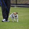 ６月１４日（日）神戸のクラウド９でオプデス競技会