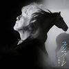 第63回弥生賞ディープインパクト記念雑感