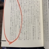 私の嫌いだったのも
