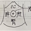 東洋医学では、