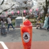 桜と味わい⁉ 目黒川の春は二度おいしい
