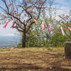 ◆'23/04/29　大岡山④…分岐～山頂～分岐