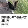 野良猫の警戒心を解く方法。