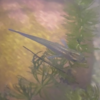 全滅