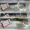 春告魚を釣りたい