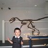 恐竜展2011
