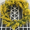 ミモザのリースを作りました〜ガーデンの花達は今。