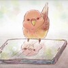 紙に描いた絵を、スマホで色塗りする方法【アイビスペイントX使用】