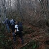 晩秋の白鳥山