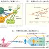 縄文ノート43（Ⅴ-19）　ＤＮＡ分析からの日本列島人起源論